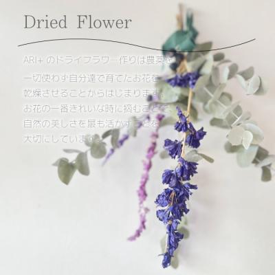 ふるさと納税 三原市 【ARI+】季節のドライフラワースワッグ [226-005] |  | 02