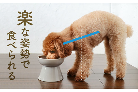 【美濃焼】NNMA 犬型 フードボウル（くりーむいぬ）【株式会社二幸】フードボウル 犬 イヌ いぬ 犬用品 餌皿 エサ鉢 ドッグフード ペット用品 安心 小型犬 インテリア かわいい おしゃれ クリー