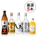 【ふるさと納税】高橋酒造　本格米焼酎とデコポン梅酒の厳選セット 　お届け時期：入金確認後20日前後