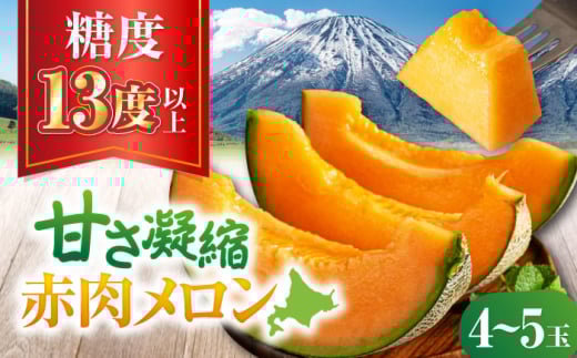 【先行予約】 ニセコ町産 赤肉メロン 4～5玉 《喜茂別町》【ニセコビュープラザ直売会協同組合】 メロン めろん 赤肉 赤肉メロン 糖度13度以上 化粧箱入り 贈答 贈答用 贈答品 贈り物 先行予約 デザート フルーツ 果物 常温 常温配送 北海道 甘い ギフト プレゼント 産直 贅沢 ぜいたく ご褒美 特別 季節限定 期間限定 [AJAH019] 23000 23000円