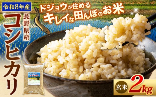 【令和8年産先行予約】≪どじょうのいる田んぼのお米≫ コシヒカリ 信州安曇野松川村産｜玄米 2kg 有機肥料 低農薬 自然栽培 安曇野米 ごはん ライス 長野県 松川村 送料無料 国産米 産地直送 農家直送 新米対応