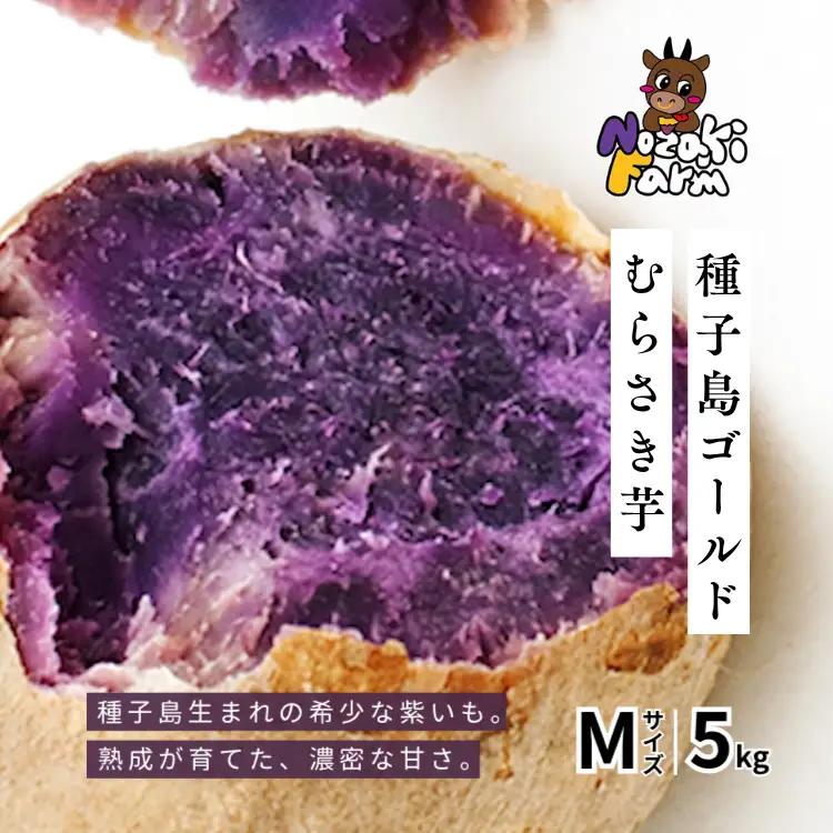 【 先行予約 】 種子島 野﨑ファーム  種子島ゴールド M サイズ 5kg　NFN661【300pt】//  本場  糖度 熟成期間 G.I 保護制度 ブランド  生いも 芋 いも さつまいも 希少
