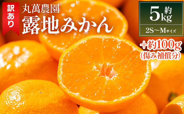 【2025年出荷分】訳あり 露地みかん(2S～Mサイズ) 5kg＋約100g (傷み補償分) 丸萬農園 mn-0004