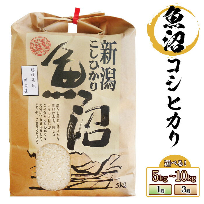 【ふるさと納税】令和7年産 新米予約 新米 米 定期便 5kg 10kg 魚沼 新潟 コシヒカリ 選べる回数 1回 3回 3ヶ月 新潟こしひかり 精米 白米 お米 魚沼産コシヒカリ（長岡川口地域）（株式会社コバヤシ）