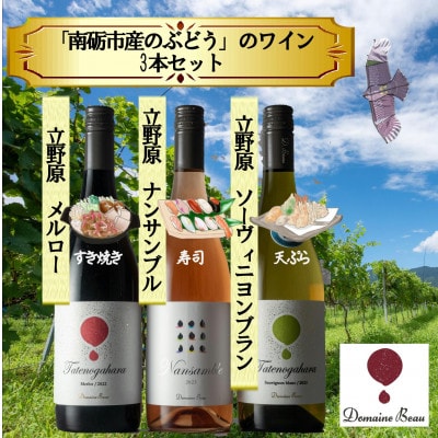 【ワインコンクール受賞】Domaine  Beau 「南砺市産のぶどう」立野原ワイン3本セット【配送不可地域：離島】