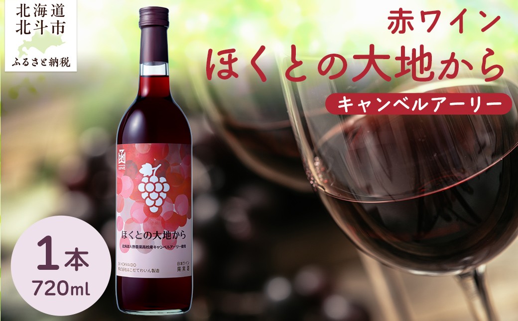 
            赤ワイン「ほくとの大地から」キャンベルアーリー720ml 【 ふるさと納税 人気 おすすめ ランキング ワイン 赤ワイン ライト 720ml キャンベルアーリー 葡萄 ぶどう 果実酒 お酒 ギフト 贈答 贈り物 プレゼント お祝い 北海道 北斗市 送料無料 】 HOKJ009
          