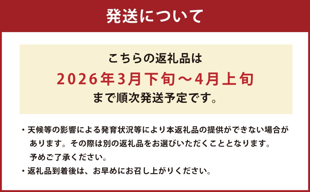 熊本県産 すいか 春のだんらん 6kg以上