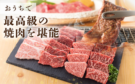 飛騨牛 焼肉 霜降り700g  焼肉 牛肉 S427