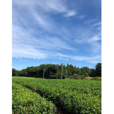 ふるさと納税 坂東市 さしま茶 こだわり5種セット |  | 02