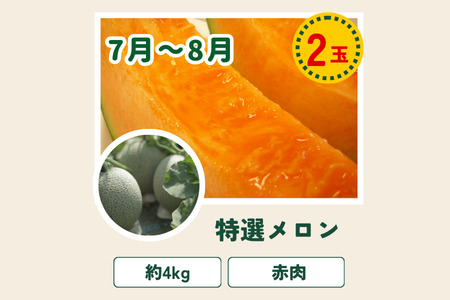 【令和８年産予約受付！】令和8年産 美瑛の四季 野菜 定期便【唐松】3回便 | アスパラ メロン とうもろこし 送料無料 セット 人気 おすすめ ランキング 野菜 3か月 3回便 3回[052-12]