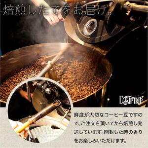 【粉】#030 ペルー クナミア コーヒー豆 310g 当日焙煎 大山珈琲