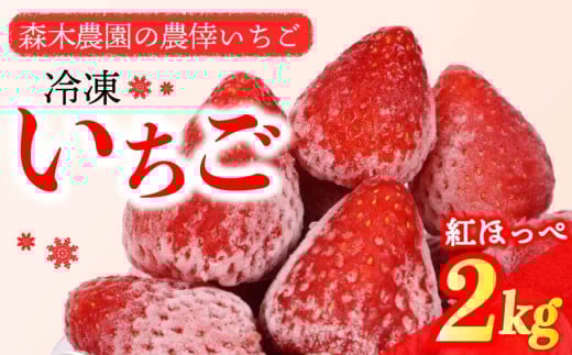 冷凍 いちご 苺 2kg 1kg×2 完熟 紅ほっぺ ヘタ取り いちご 静岡 限定 苺 冷凍いちご イチゴ 果物 スイーツ いちご 紅ほっぺ 冷凍イチゴ 牧之原市 デザート フルーツ スイーツ アイス ジャム シャーベット かき氷 イチゴ ベリー ストロベリー 氷菓 冷凍 甘い オススメ いちご ギフト 贈答 プレゼント 人気 送料無料 2袋 便利 いちご 紅ほっぺ べにほっぺ 牧之原市 森木農園