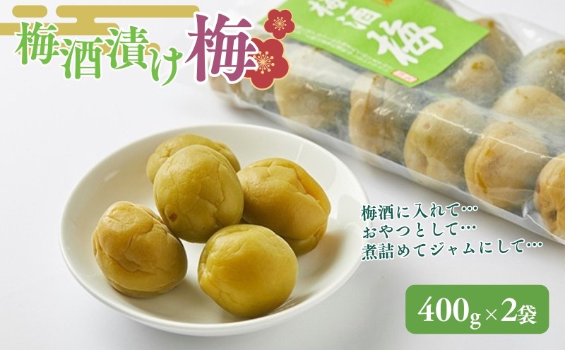 
梅酒の梅 2袋セット(梅酒に入れて、おやつに、おつまみに、煮詰めてジャムに) [№5580-0093]
