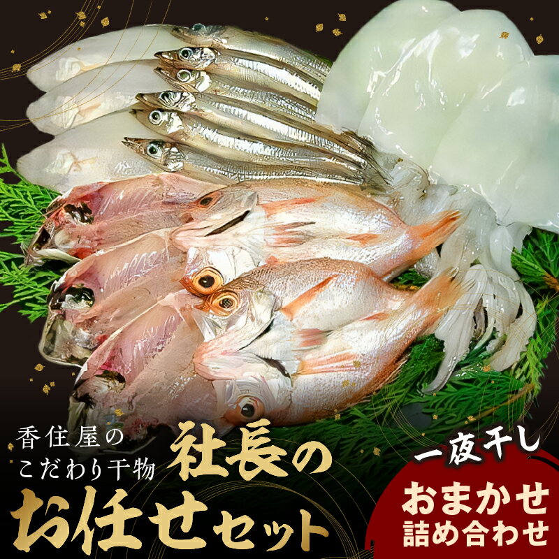 【ふるさと納税】山陰浜田 香住屋のこだわり干物「社長のお任せセット」 魚介類 魚貝類 魚 干物 一夜干し セット 詰め合わせ ギフト 贈り物 【024_0948】