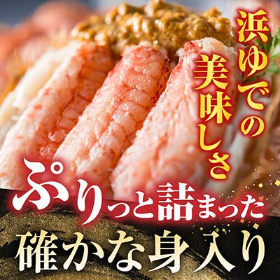 ふるさと納税 根室市 【北海道根室産】ボイル毛がに2尾(計800g) F-42016 |  | 02