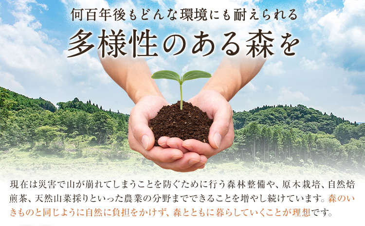 朝掘りタケノコ 2kg 合同会社 原田山業《4月上旬-4月末頃出荷》 熊本県 菊池市 たけのこ タケノコ 朝掘り 一番掘り 春の味覚 旬 国産---098-2647---