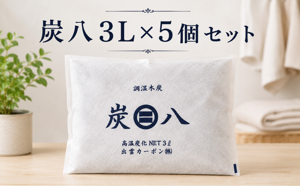炭八3L×5個セット 322032_FM010