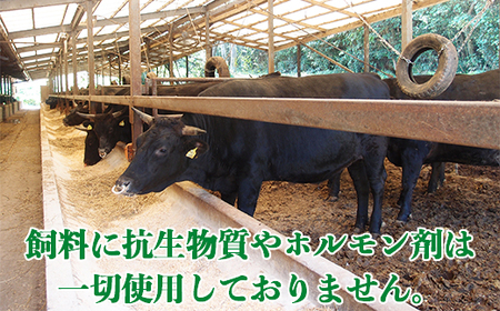 おおいた和牛 カルビ＆赤身焼肉セット（各150g×2）【ニード牧場】 ＜129-006_5＞