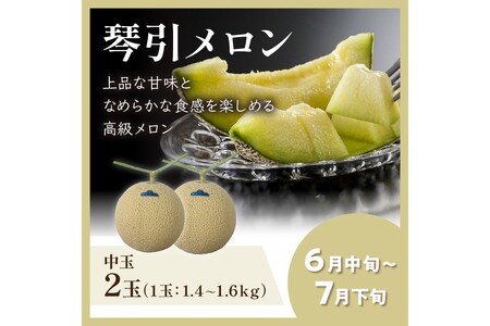 JA京都がおすすめする厳選メロン食べ比べセット（琴引メロン＆砂姫メロン）