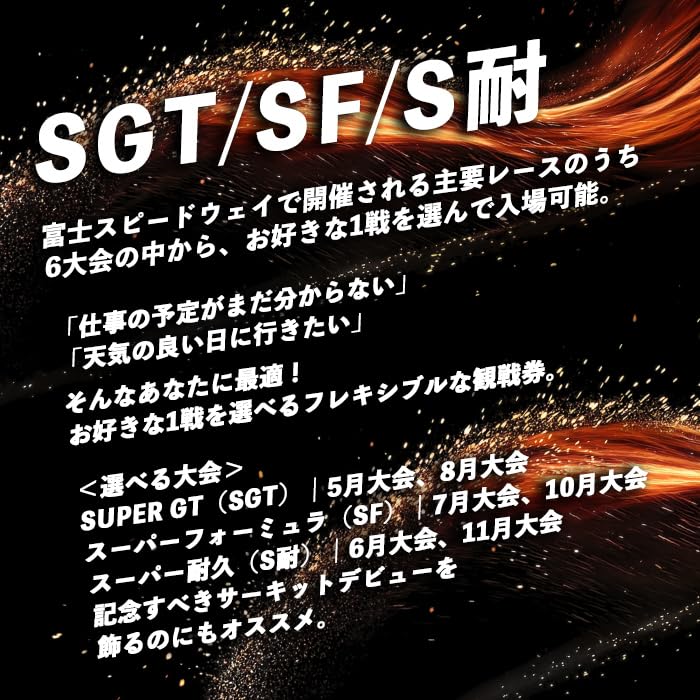 選べる！自由観戦エリア券（SGT/SF/S耐）｜ 富士スピードウェイ スピードウェイ 観戦 観戦券 チケット 利用券 体験 レース