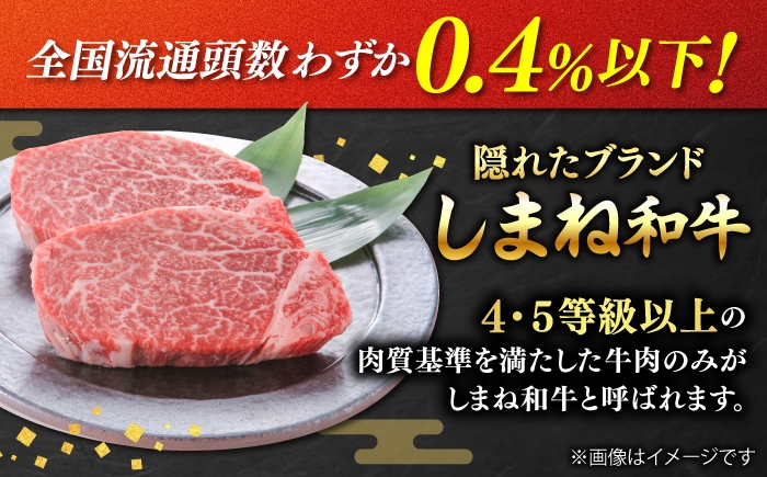 フィレ ヒレ シャトーブリアン しゃとーぶりあん 牛肉