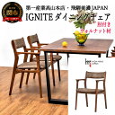 【ふるさと納税】 IGNITE ダイニングチェア（肘付）【ウォルナット材】 JIG-DCW206A PNW/DエームマスターTK イス 椅子 北欧 疲れにくい 座り心地 単品 送料無料 D142-01