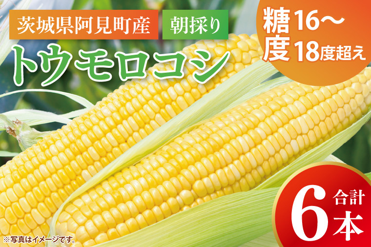 
                  【先行予約 6月下旬から順次配送】トウモロコシ6本入　黄6入【新鮮 野菜 甘い とうもろこし 玉蜀黍 茨城県 阿見町産】(73-01)
                