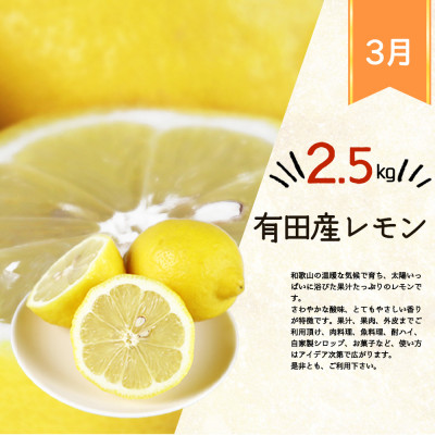 【発送月固定定期便】紀州和歌山産旬のフルーツセット(みかん・不知火・レモン・清見)全4回