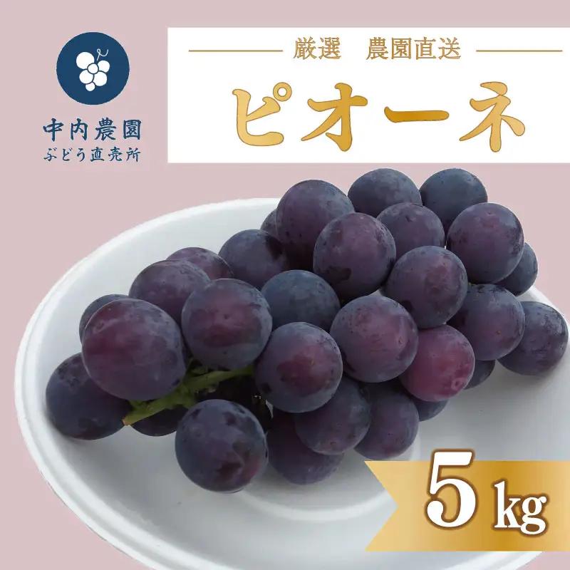 ぶどう ピオーネ 5kg ぶどう 