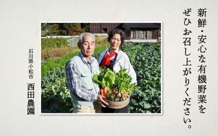 【有機JAS認定サラダ野菜】西田農園　季節の野菜詰合せ　Aセット 010001
