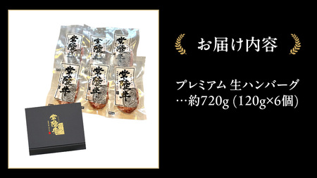 常陸牛 100% プレミアム 生ハンバーグ 合計720g（120g × 6個）【茨城県共通返礼品】