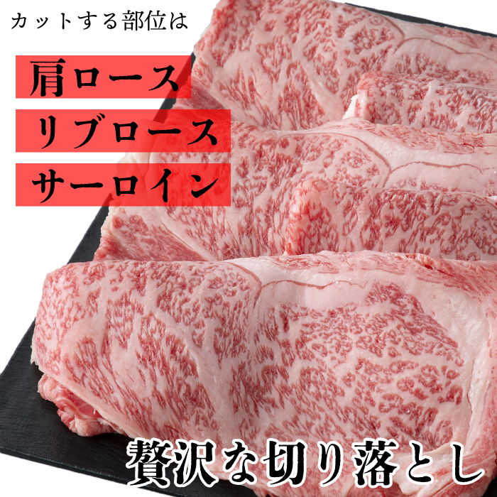 【A-355】宝牧場 近江牛 ロース スライス切り落とし 500ｇ ［高島屋選定品］_イメージ4