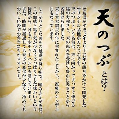 ふるさと納税 中島村 令和8年産 中島村産 天のつぶ 玄米 10kg |  | 01
