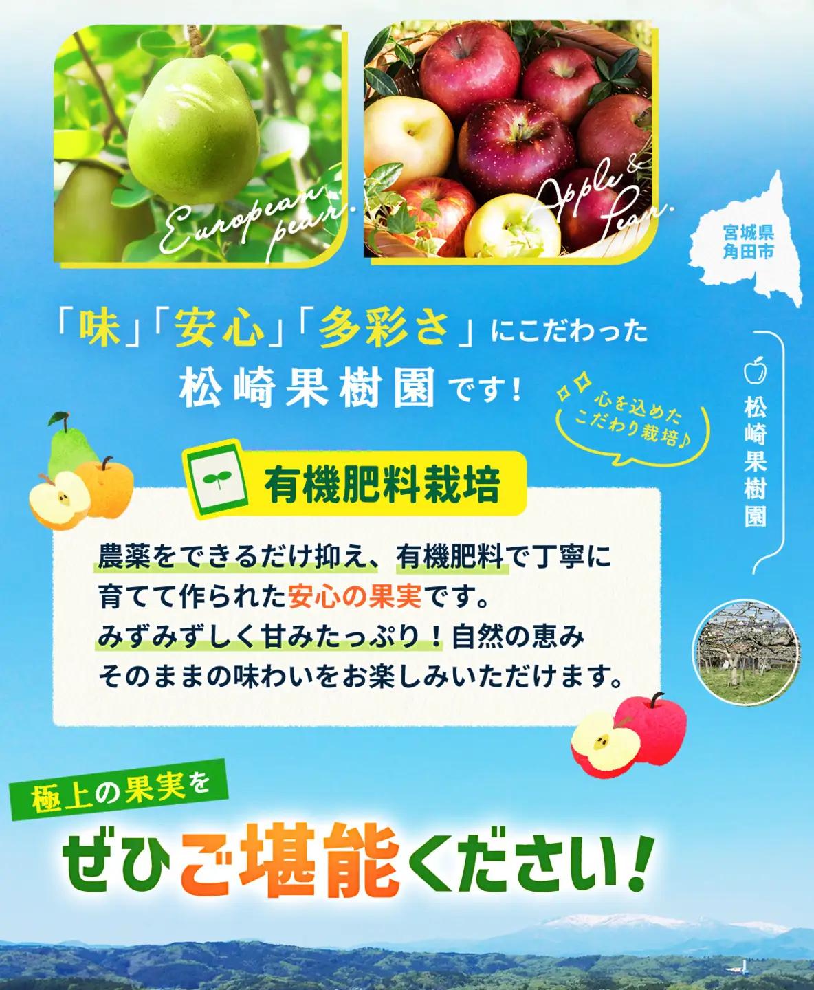 【2026年発送】梨「豊水」約5kg（8～10玉入）【松崎果樹園】｜梨 