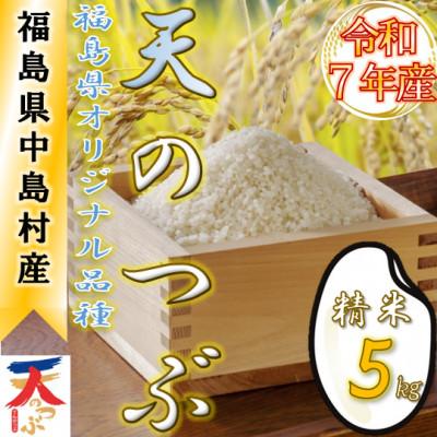 ふるさと納税 中島村 【数量限定/令和7年産】中島村産『天のつぶ』(精米)5kg