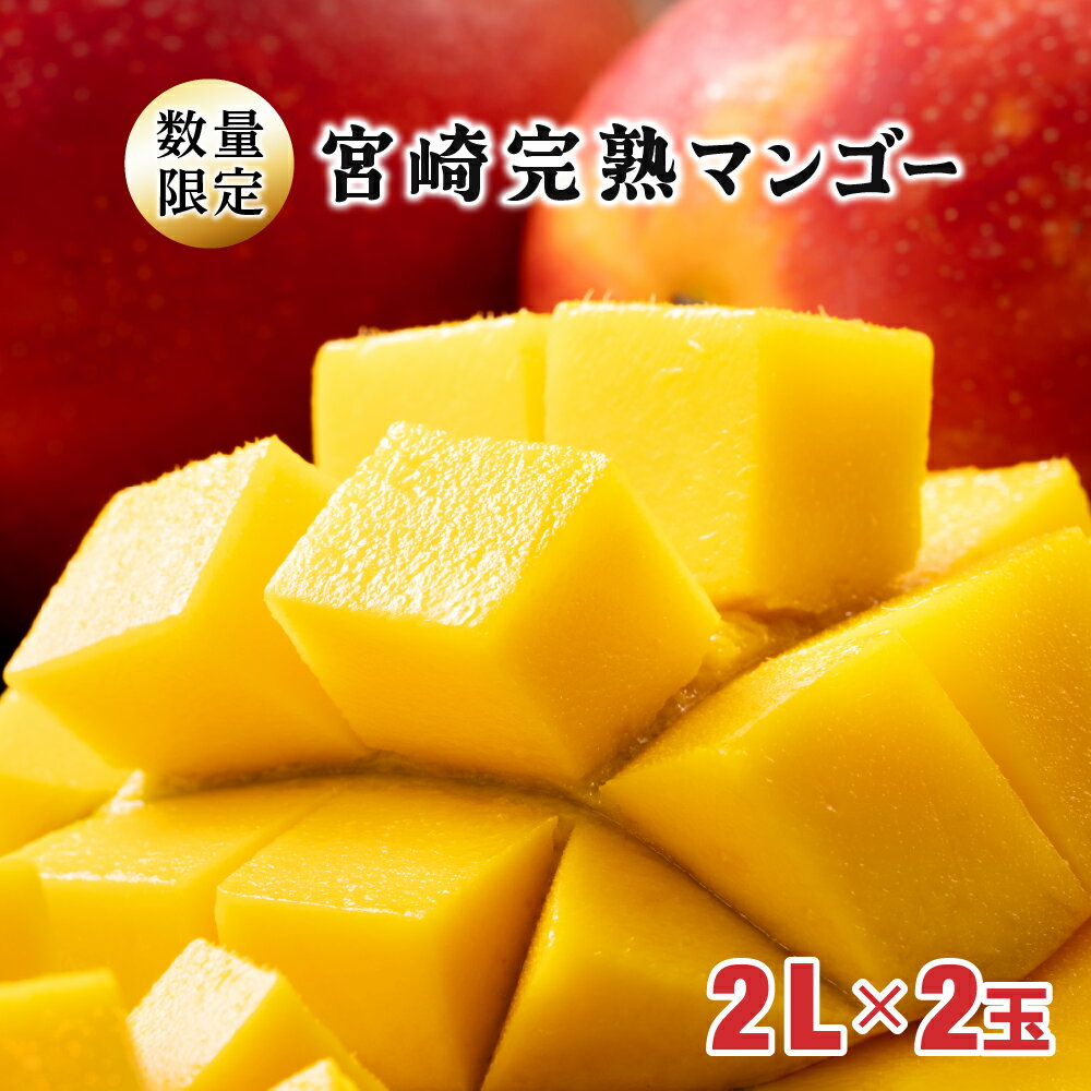【ふるさと納税】【先行予約】＜数量限定＞宮崎完熟マンゴー 2L×2玉（350g〜449g以上×2玉）宮崎県産 完熟 マンゴー 季節の フルーツ 果物 くだもの まんごー 送料無料【KU019】