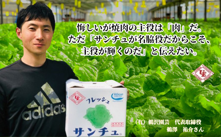 「 フレッシュサンチュ 」 合計100枚（10枚入×10パック） 新鮮 フレッシュ サンチュ 焼き肉レタス チシャ チシャ菜 野菜 菜物 焼肉 焼き肉 BBQ バーベキュー 夏休み 銚子産 千葉県 銚