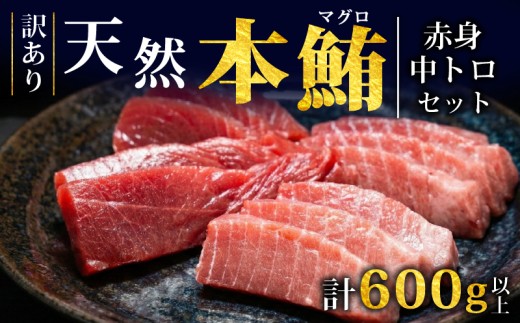 【スピード発送】 天然本まぐろ 赤身 中トロ セット 600g以上 訳あり まぐろ 刺身 さしみ 刺し身 鮮魚 まぐろ赤身 鮪 魚介 魚 マグロ 漬け ユッケ 海鮮丼 国産 天然まぐろ 高級 天然 人気 寿司 本鮪 お正月 年末 冷凍 三陸 大船渡 岩手 冊 ギフト ごちそう