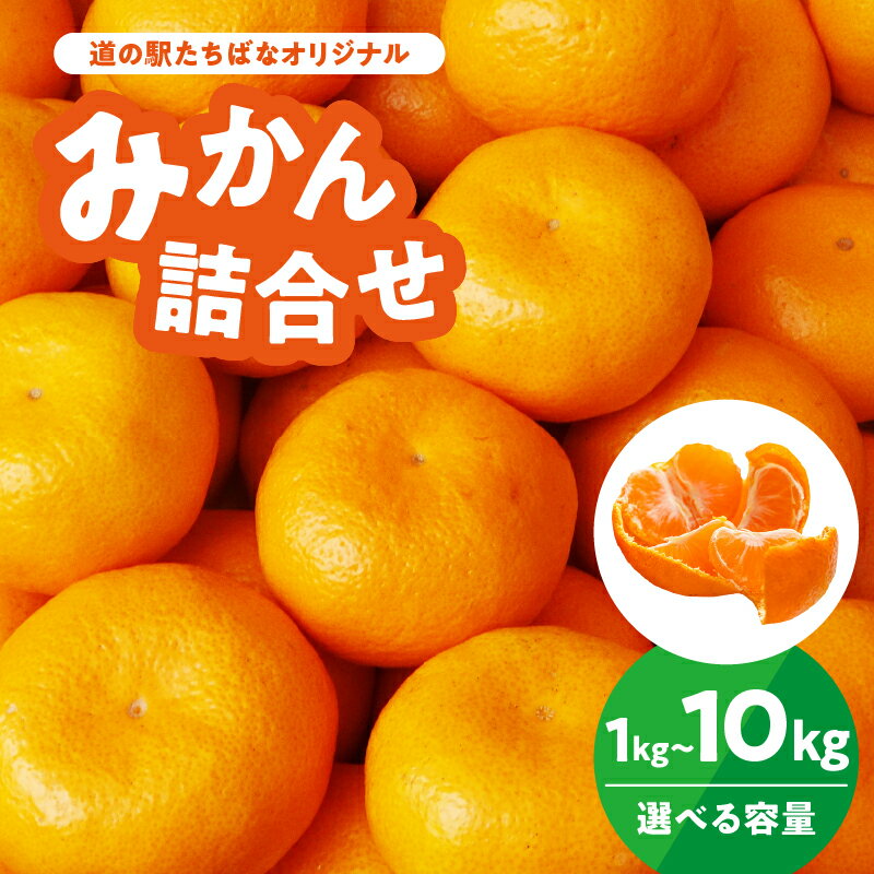 【ふるさと納税】【選べる容量】八女産みかん詰合せ 1kg・5kg・10kg｜道の駅たちばなオリジナル｜10月上旬発送開始｜旬の早生/中生みかんを産地直送