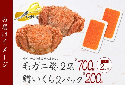 3436. 毛蟹 2尾 計700g前後 鱒いくら醤油漬け 200g 専用ハサミ・食べ方ガイド付き 毛ガニ 毛がに 蟹 カニ 鱒 いくら 醤油漬け 送料無料 北海道 弟子屈町
