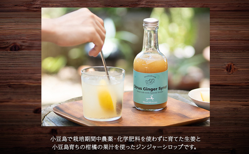 【 小豆島 】小豆島ジンジャーシロップ3本セット 果実飲料 ジュース 