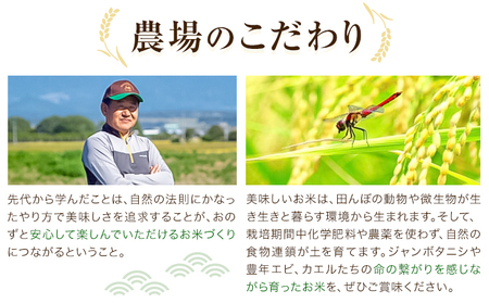 七城物語 有機赤米  玄米 合計900g(180g×5パック) 赤米《30日以内に出荷(土日祝を除く)》
