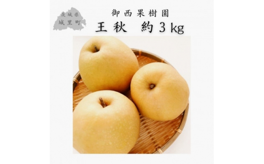 
＜農家直送＞梨 王秋 4～6個(約3kg)【1418448】
