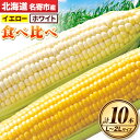 【ふるさと納税】令和6年産 北海道名寄産ホワイトコーン＆スイートコーンイエロー食べ比べセット L～2Lサイズ各5本計10本《8月中旬-9月中旬頃出荷》NPO法人なよろ観光まちづくり協会 とうもろこし 食べ比べ 旬 新鮮 産地直送 糖度 冷蔵 レビュー高評価