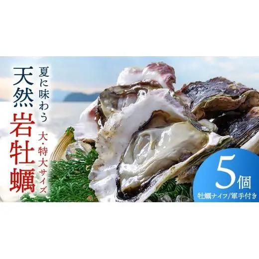 天然・生食可 大・特大サイズ 岩牡蠣 5個 瀬戸内産  《ナイフ・軍手付き》 産地直送