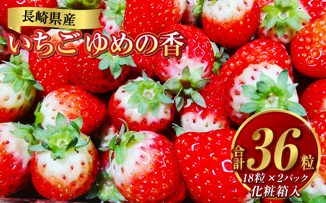 【贈答用】いちご ゆめの香 36粒 (18粒×2パック) 化粧箱 ／ フルーツ 果物 デザート ギフト イチゴ 苺 【2025年11月下旬-2026年3月下旬迄発送予定】