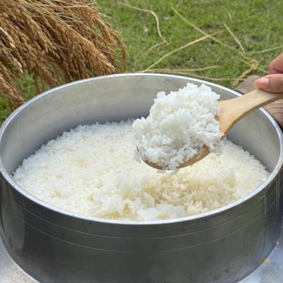 ふるさと納税 多古町 多古米セレクション　高石健太郎さんの多古米コシヒカリ　玄米5kg　令和7年産 |  | 03