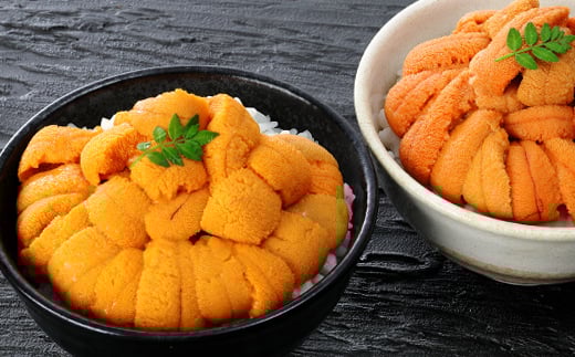 A-81022  エゾバフンウニ塩水パック50～60g×2P[2026年1月中旬以降発送]