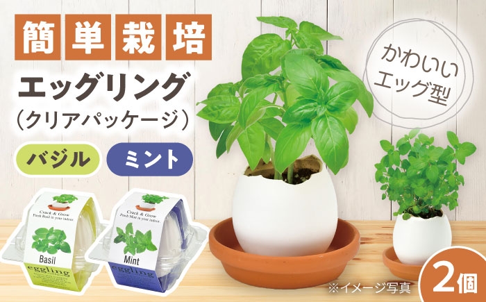
                  エッグリング クリアパッケージ 2個（バジル、ミント）/ 栽培キット 園芸 ハーブ / 瀬戸市 / 聖新陶芸 [BBEK001]
                