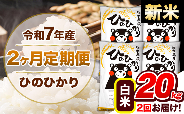 【2ヶ月定期便】新米 令和7年産 白米 定期便 ひのひかり 20kg 《お申込み翌月から出荷》熊本県産 ふるさと納税 白米 精米 ひの 米 こめ ふるさとのうぜい ヒノヒカリ コメ 熊本米 ひのもり---hn7tei_92000_20kg_mo2_gkt_h---